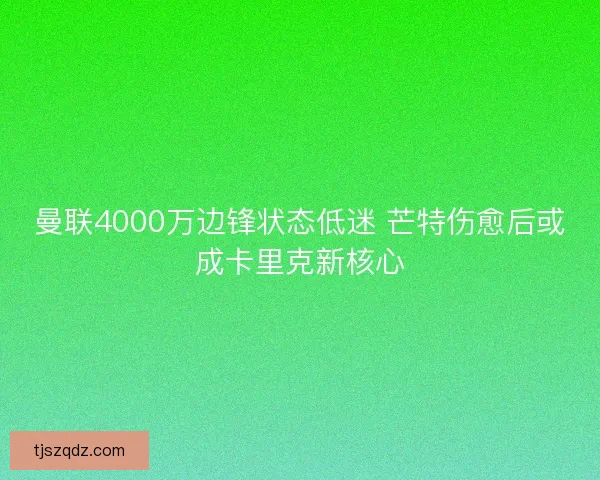 曼联4000万边锋状态低迷 芒特伤愈后或成卡里克新核心