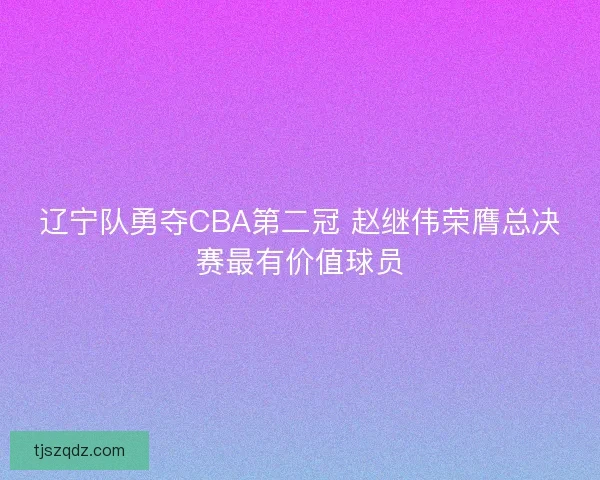 辽宁队勇夺CBA第二冠 赵继伟荣膺总决赛最有价值球员 辽宁队勇夺CBA第二冠 赵继伟荣膺总决赛最有价值球员