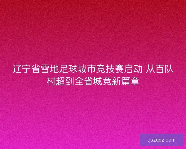 辽宁省雪地足球城市竞技赛启动 从百队村超到全省城竞新篇章
