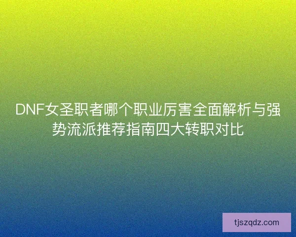 DNF女圣职者哪个职业厉害全面解析与强势流派推荐指南四大转职对比
